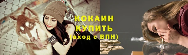 стафф Верея