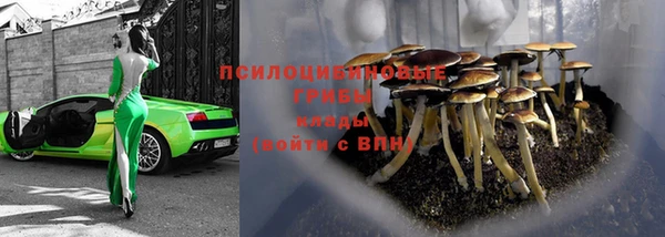 стаф Верхний Тагил